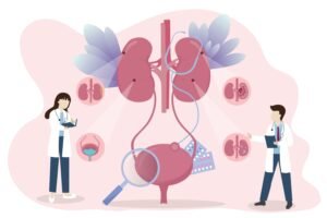 Medical diagram showing the female urinary tract, including bladder, urethra, and kidneys