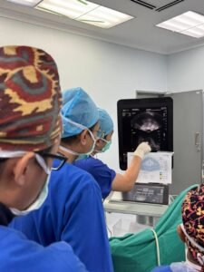Ultrasound-guided transperineal prostate biopsy using PrecisionPoint system for accurate prostate sampling