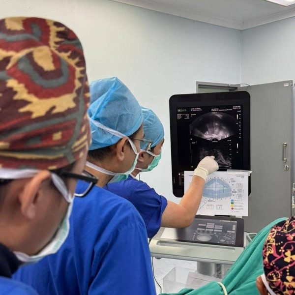 Ultrasound-guided transperineal prostate biopsy using PrecisionPoint system for accurate prostate sampling